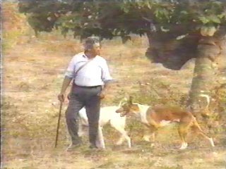 CAMPO - (21)  LABRANZA
